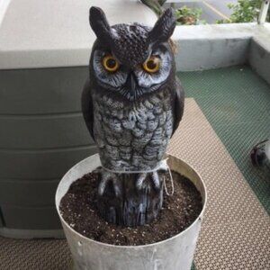 Fake Owl Decoy to Scare Birds Away from Gardens, Rooftops, and Patios